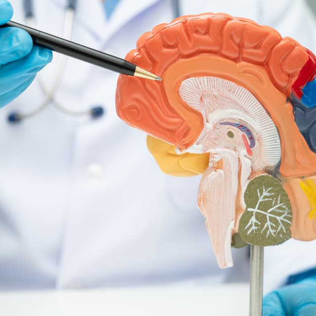 Noticias y recursos sobre salud mental de Lola Vinagre Psicología